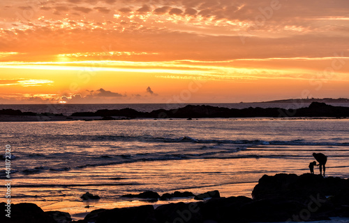 silhouette of a person at sunset