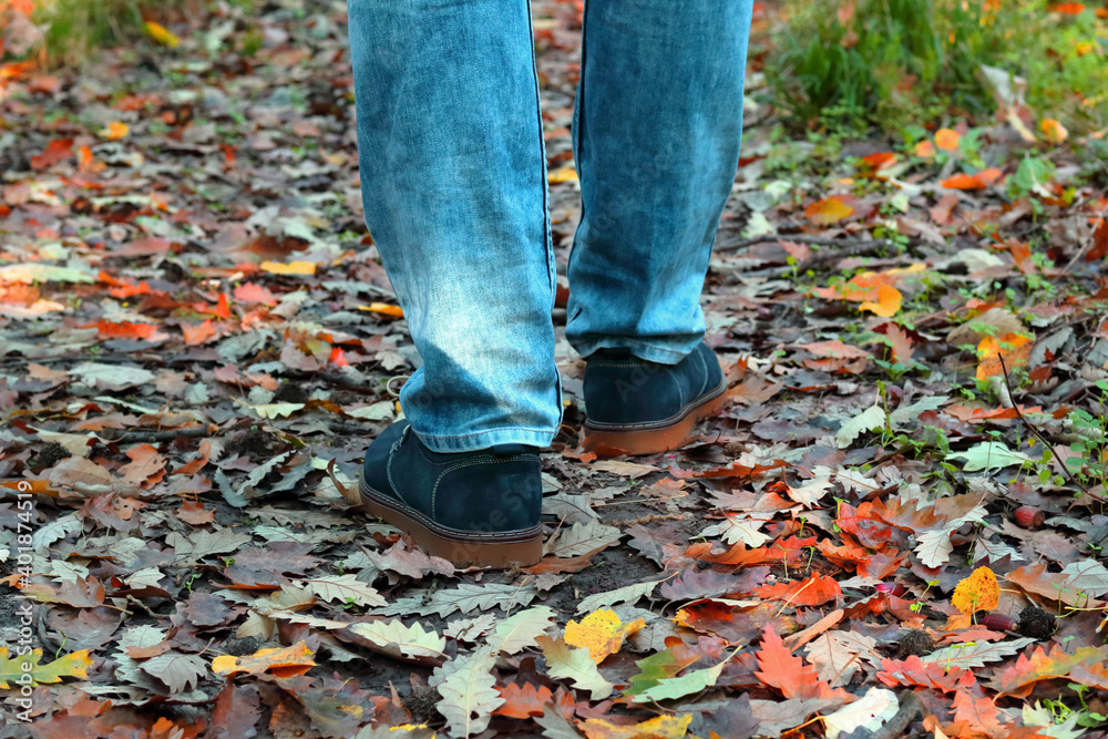 young man walking in autumn park young man walking in autumn park