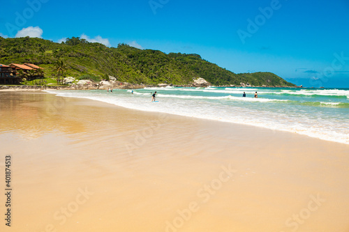 beach with trees located at Atalaia beach, Mariscal beach, Bombinhas, Santa Catarina, Brazil
