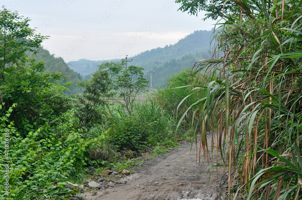 path in the mountains