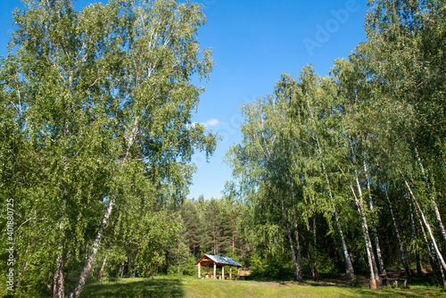 house in the forest for rest