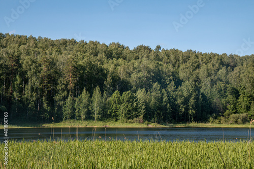 beautiful forest lake
