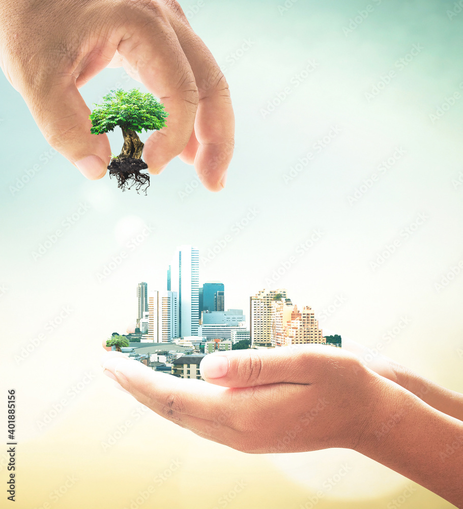 Sustainable development goals (SDGs) concept: Two human hands holding tree  and city over blurred nature background Stock Photo | Adobe Stock