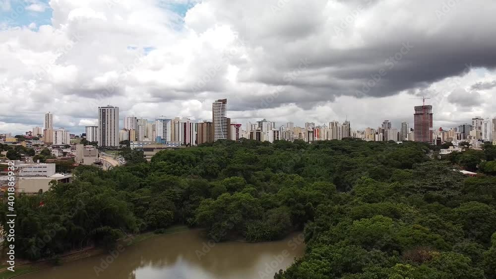Drone voando para baixo se escondendo atrás das árvores da floresta dentro do parque