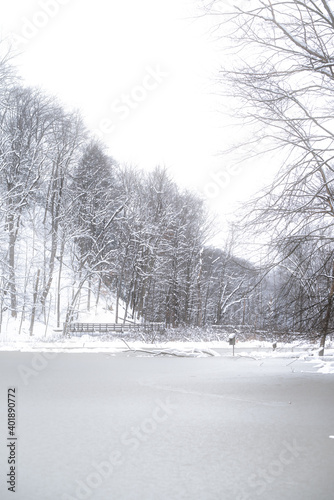 Fototapeta Naklejka Na Ścianę i Meble -  Snow in the woods after a winter storm