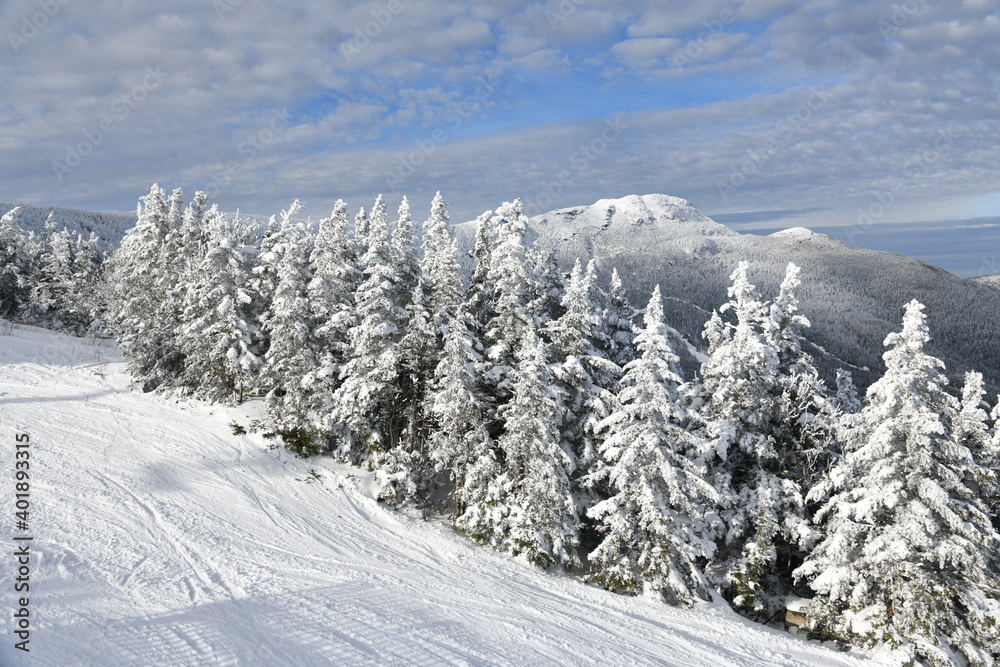 Stowe Ski Resort in Vermont, view to the Mansfield mountain slopes, December fresh snow on trees early season in VT, panoramic hi-resolution image