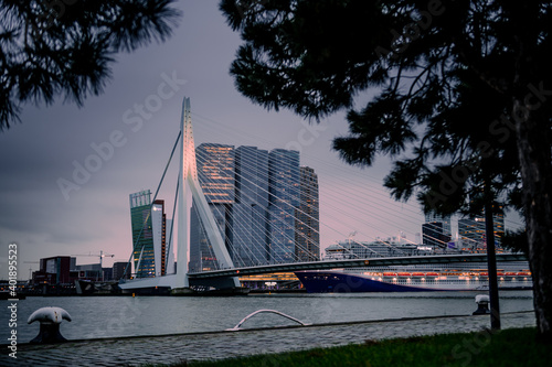 Skyline of rotterdam through the trees
