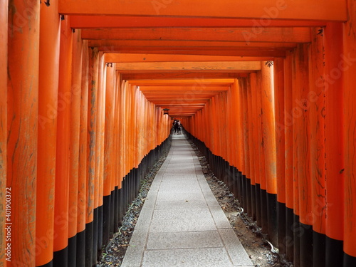 京都　伏見稲荷大社の参道の鳥居のトンネル
