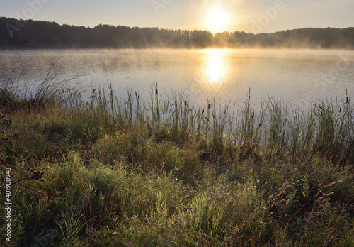 Sunrise over the Forest lake in the morning