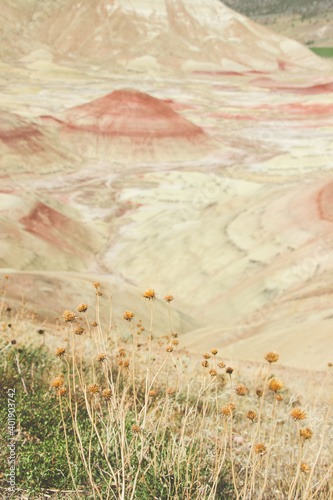A vertical shot of the Painted Hills, John Day Fossil Beds National Monument photo