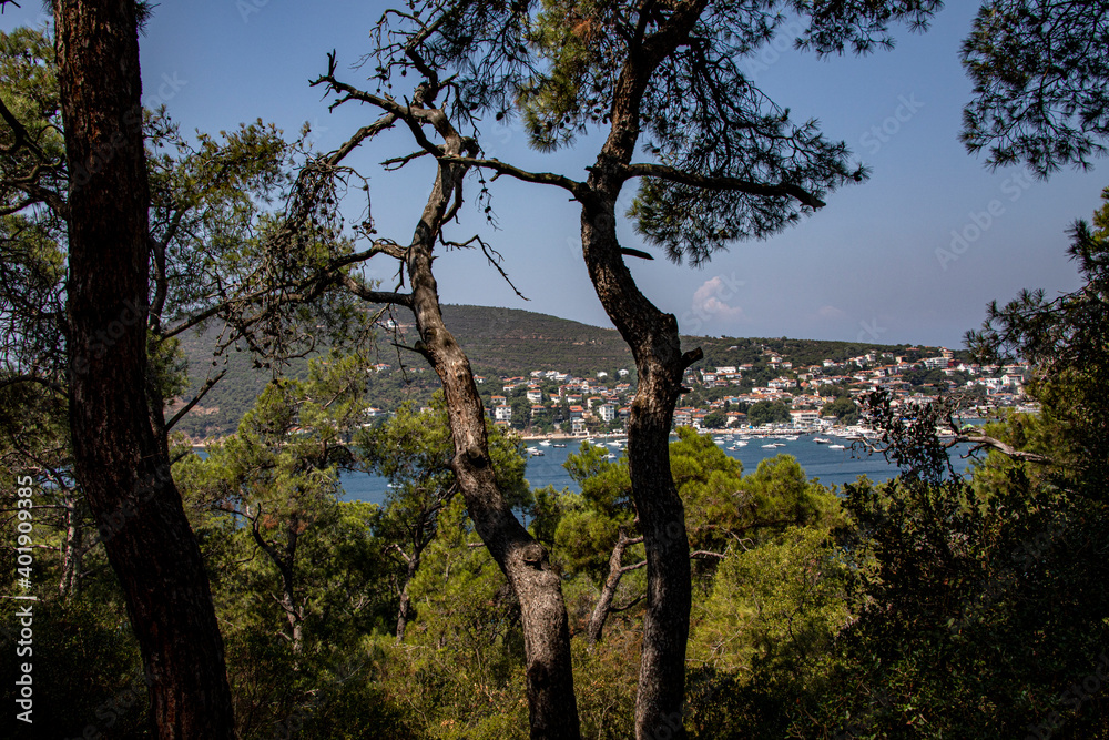 The magnificent view of Heybeli Island, surrounded by the Marmara Sea on all four sides, under the open sky, combines with the impressive view of the Boats. The magnificent view of Heybeli Island, surrounded by the Marmara Sea on all four sides, under the open sky, combines with the impressive view of the Boats.