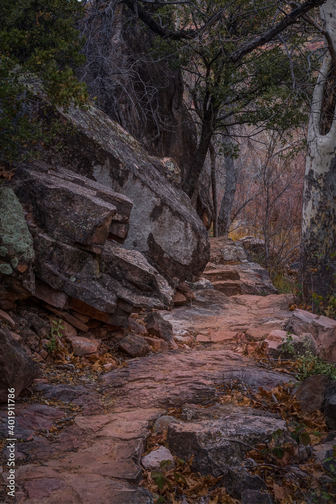 Sedona Arizona USA Grasshopper Trail