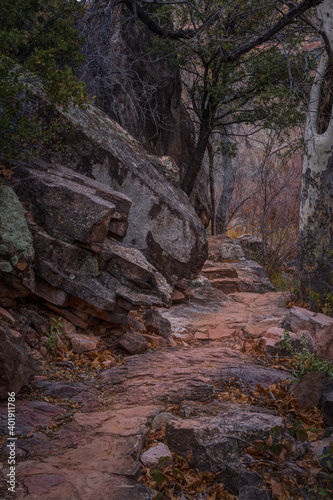 Obraz na płótnie Sedona Arizona USA Grasshopper Trail w salonie