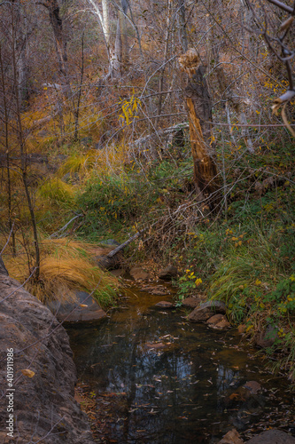 Sedona Arizona USA Grasshopper Trail