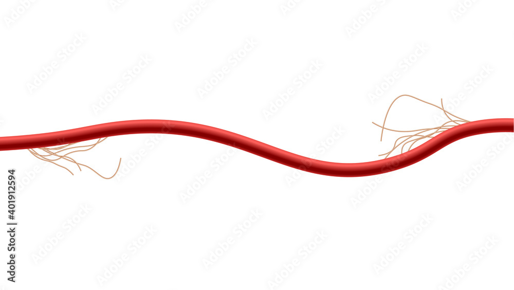Electrical cable with damaged insulation realistic vector illustration isolated. Electrical cable with damaged insulation realistic vector illustration isolated.