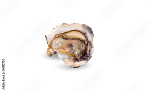 fresh oysters an isolated on white background
