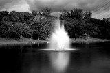 Fountain in Lake in Black and White