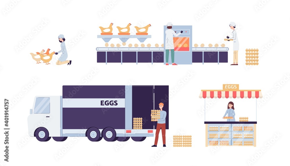 Chicken eggs factory production stages set, flat vector illustration isolated.