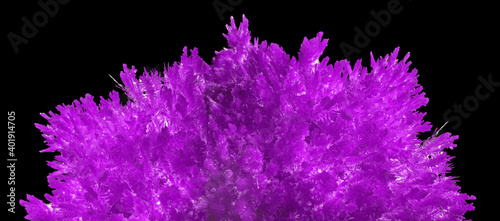lilac bright dense polycrystal isolated on black