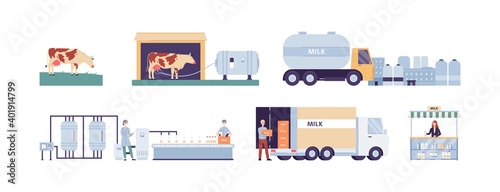 Production and distribution of cows milk flat vector illustration isolated.
