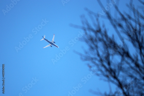 Airplane flying in the clear blue sky above the bare tree branches. Commercial plane in flight
