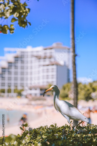 Ko Olina, West Oahu, Hawaii