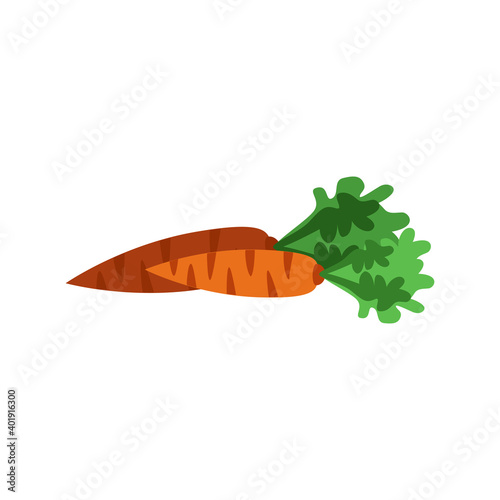 a handful of carrots with tops. flat isolated