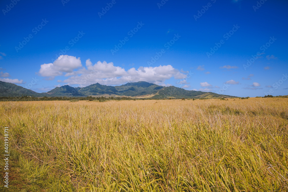 Obraz premium Mount Kaala, Waianae Range, Oahu, Hawaii