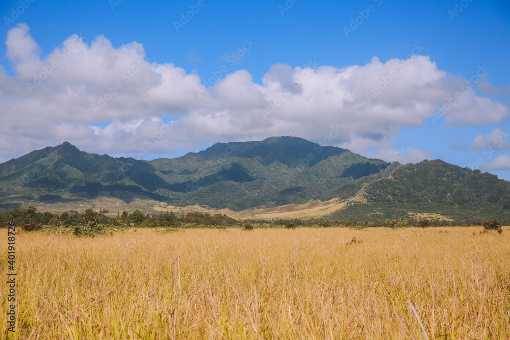 Mount Kaala, Waianae Range, Oahu, Hawaii Mount Kaala, Waianae Range, Oahu, Hawaii
