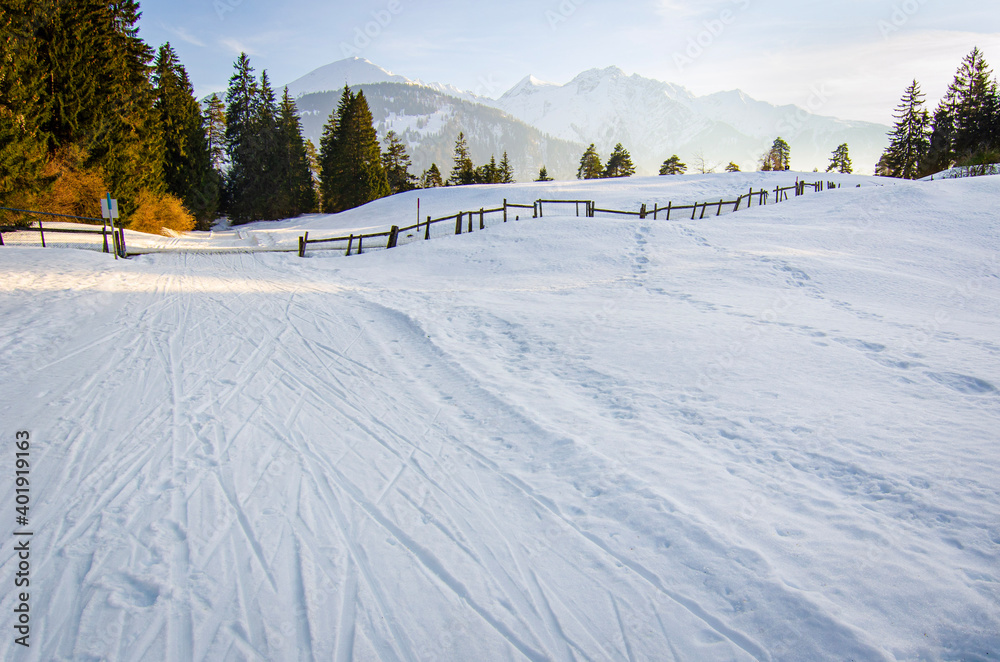 landscape in the mountains