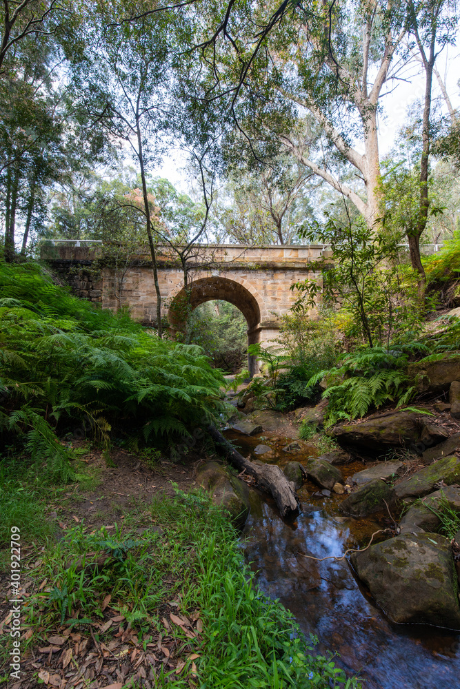 Creek and fern around Lennox Bridge, the oldest arch bridge in Australia.
