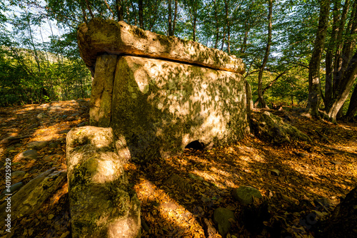 Ancient megalithic tomb dolmen in the forest