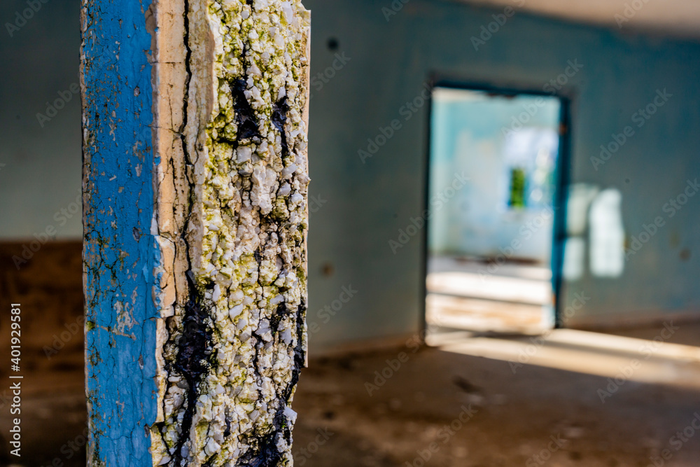 Old house window with rotten walls. Old house window with rotten walls.