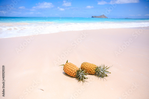 Pineapple on the beach, Waimanalo, Oahu, Hawaii