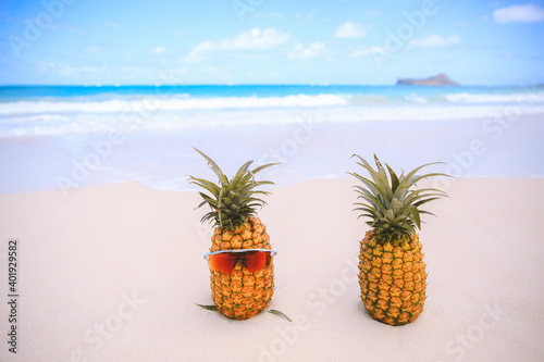 Pineapple on the beach, Waimanalo, Oahu, Hawaii