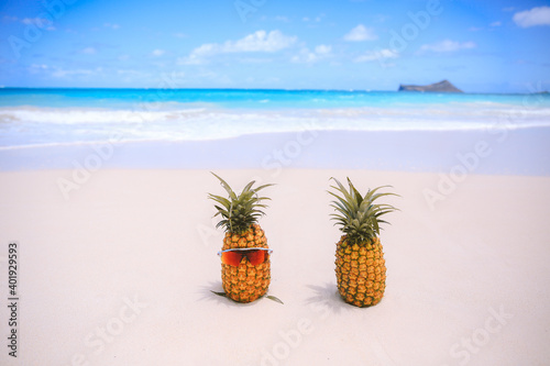 Pineapple on the beach, Waimanalo, Oahu, Hawaii © youli