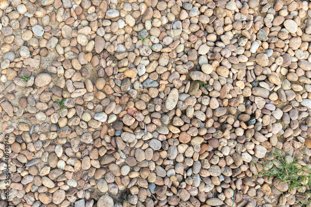 background texture of pebbles stone with sand and small green plant background texture of pebbles stone with sand and small green plant