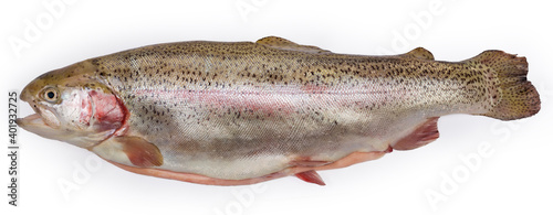 Fresh disemboweled uncooked rainbow trout on white background, side view