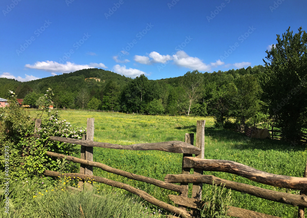 A meadow landscape, which contains hedges, plants, trees and clouds, from countryside in Turkey. 