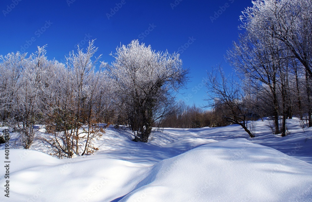 The magnificent view of Bolu Abant covered with snow in winter. A place everyone should go once in their lifetime The magnificent view of Bolu Abant covered with snow in winter. A place everyone should go once in their lifetime