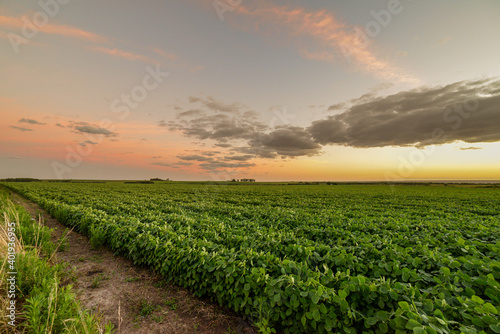 A beautiful dramatic cloudscape over a cultivated agricultural field in Uruguay, Juan Lacaze, Colonia photo