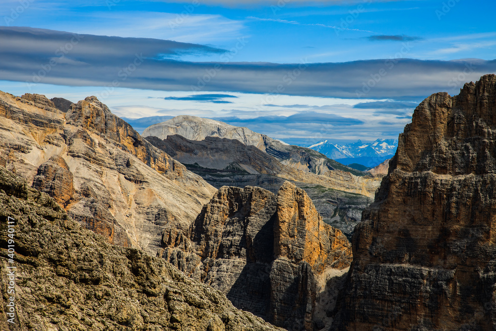 landscape forest in trentino with dolomiti mountain