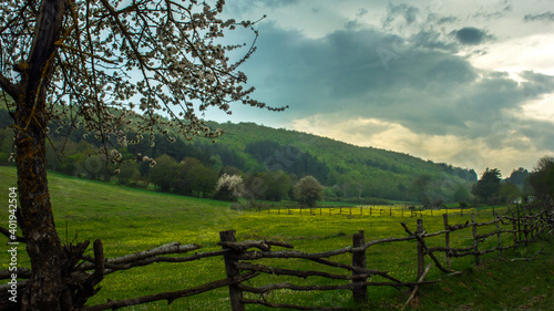 A meadow landscape  which contains hedges  plants  trees and clouds  from countryside in Turkey. 