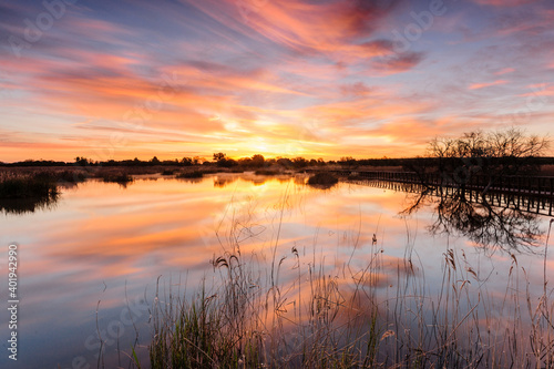 national park Tablas de Daimiel, Ciudad Real, Castilla-La Mancha, Spain