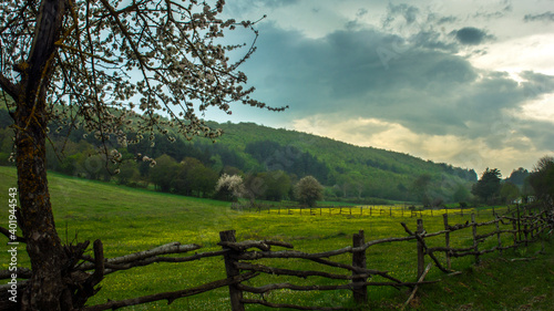A meadow landscape, which contains hedges, plants, trees and clouds, from countryside in Turkey. © photograzon