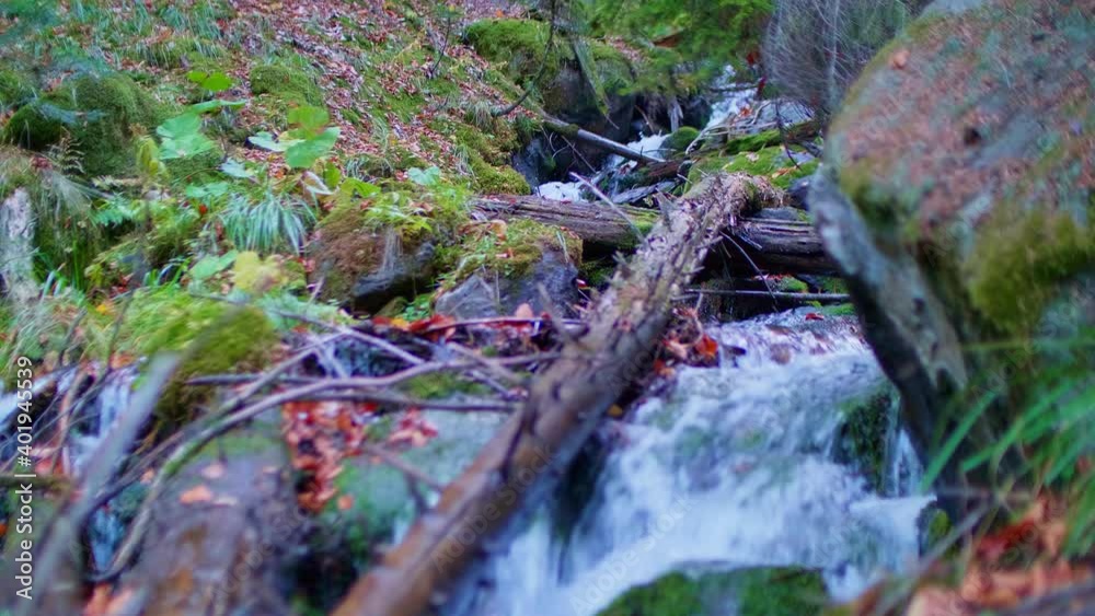 Water of narrow mountain river is flowing on large stones covered with moss. Life in mountains. Water of narrow mountain river is flowing on large stones covered with moss. Life in mountains.