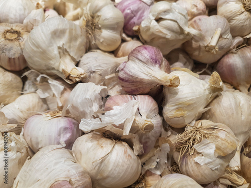 organic garlic in the store. natural, ecological garlic close-up