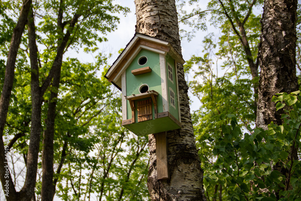 Birdhouse on a tree