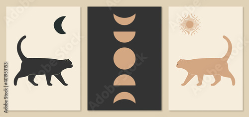 Sun, moon, cat, moon phases illustrations. Trendy mid century art, boho home decor, abstract floral wall art.