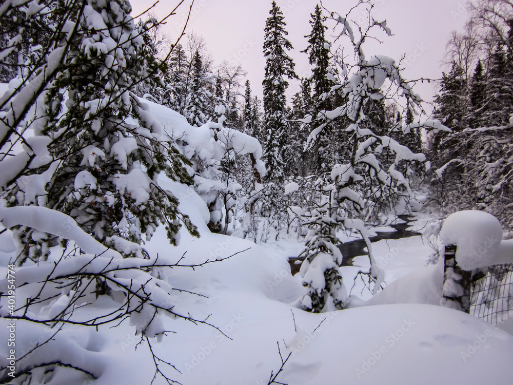 Winter landscape in Oulanka National Park, Lapland, Finland Winter landscape in Oulanka National Park, Lapland, Finland